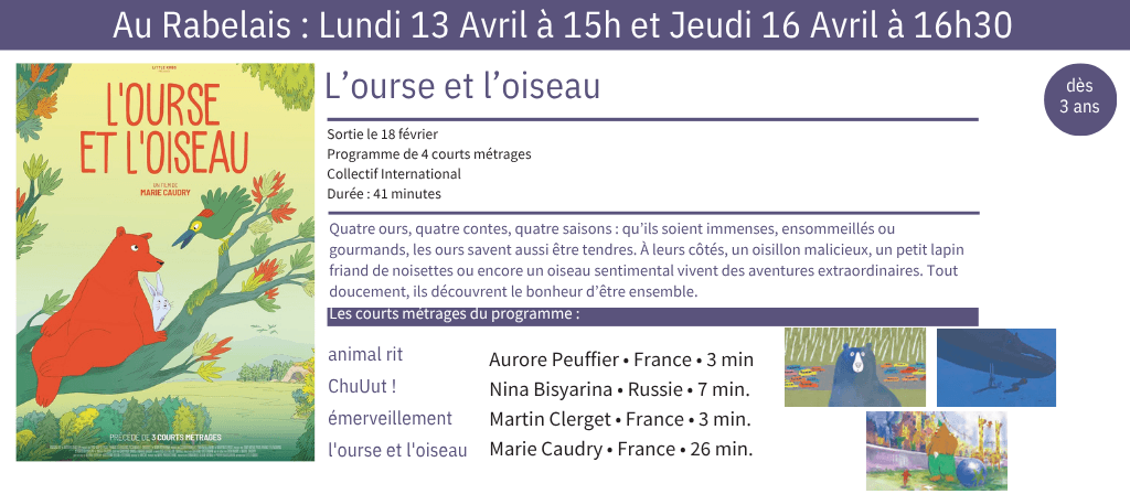 actualité Petit p Ourse